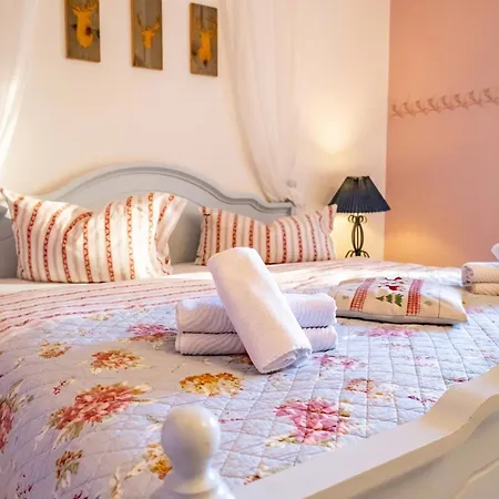 Zum Alten Forsthaus Todtenrode 3* ثال